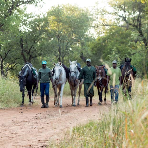 African Horse Safaris