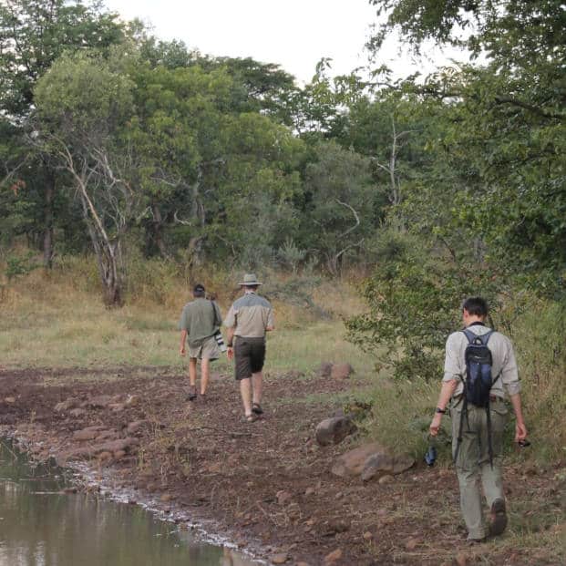 Bush Walking Safari