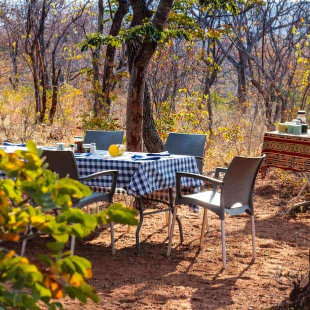 Camping Safari Bush Lunch