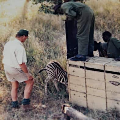 Cawston Encounters Farm