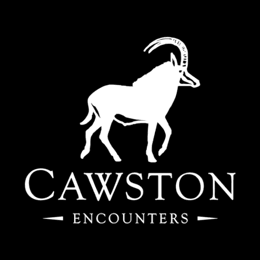 cawston-encounters-zimbabwe