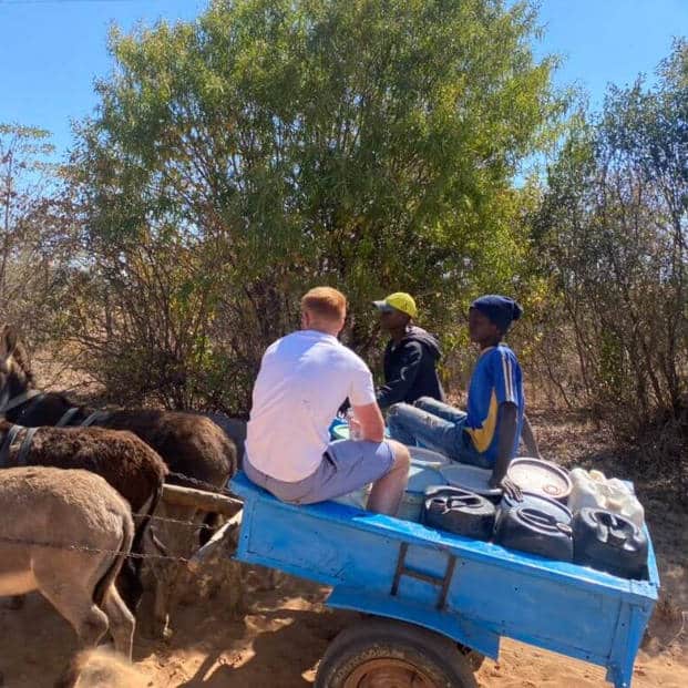 Donkey Cart in Zimbabwe
