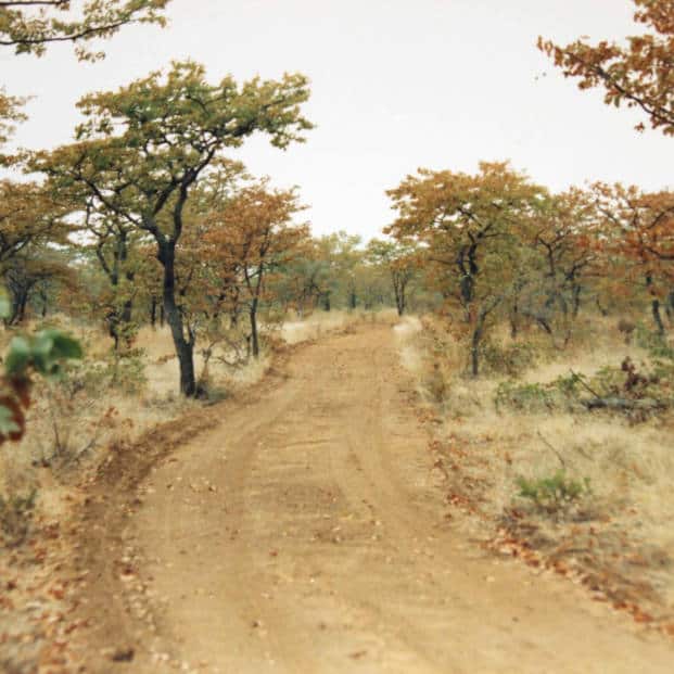 Game Drives