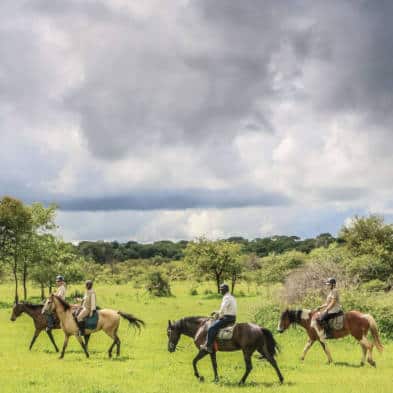 Green Season Horse Safari