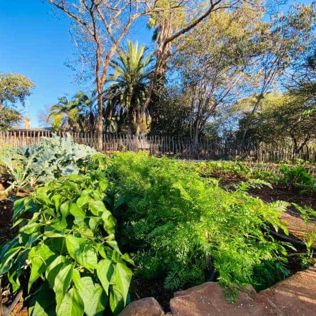 Holistic Farming at Cawston