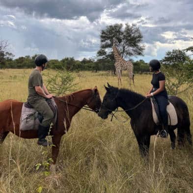 Horse Safari