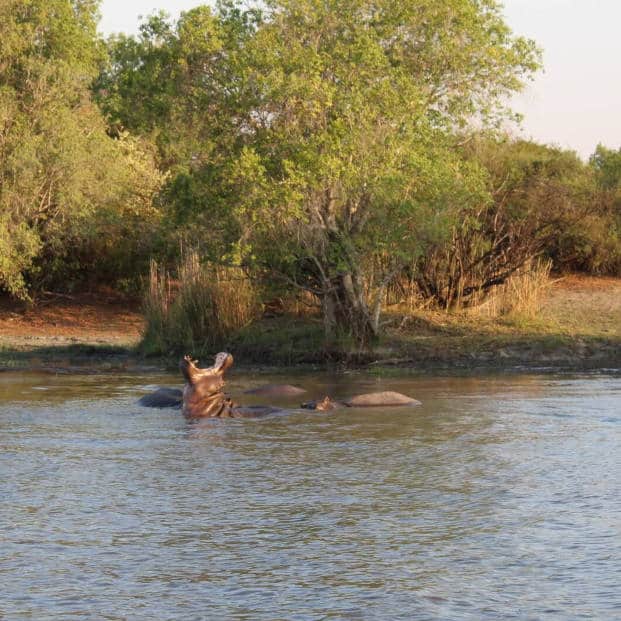 Hwange National Park Safari