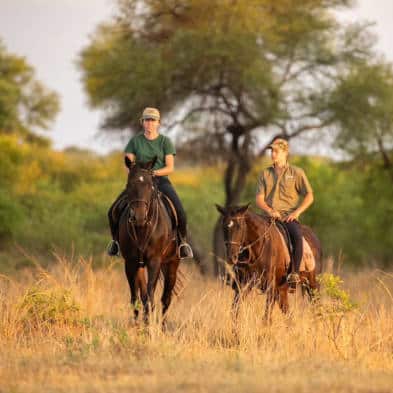 Sunset Horse Safari