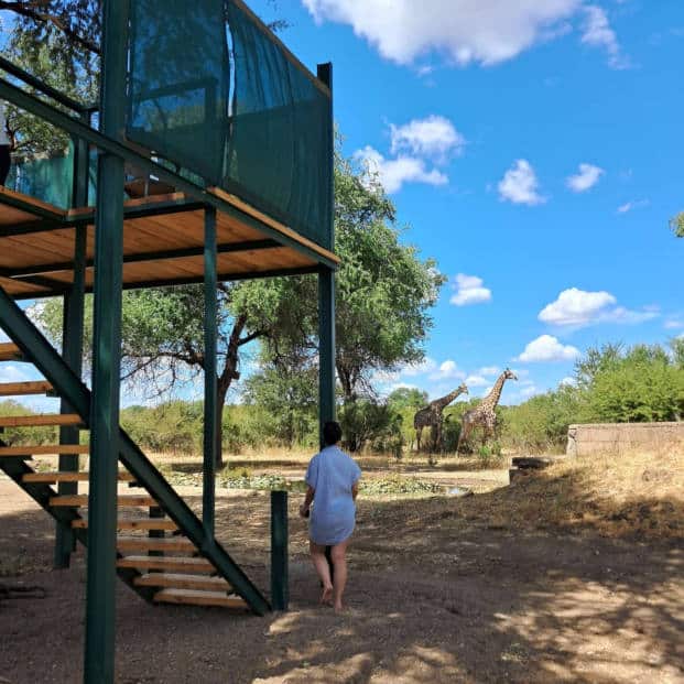 Viewing Deck At Waterhole