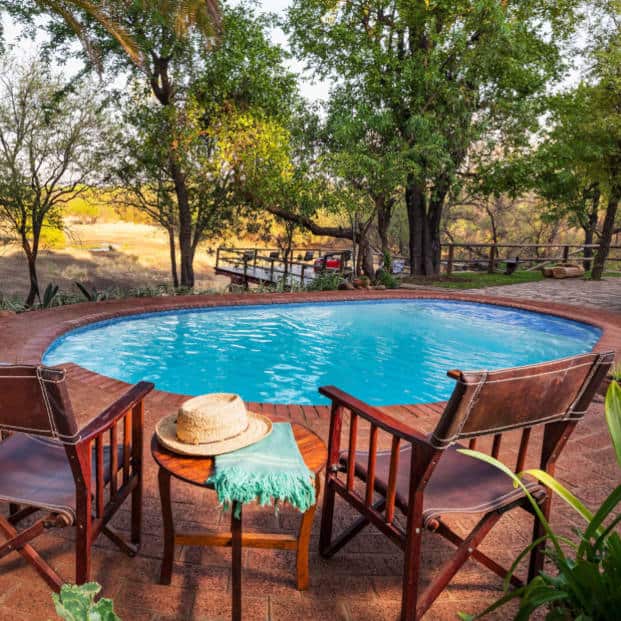 Zimbabwe Africa Safari Swimming Pool