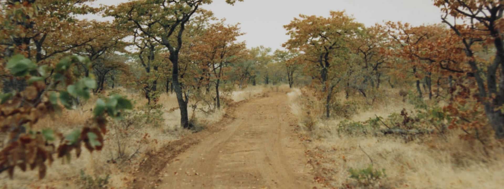 Anti Poaching at Cawston