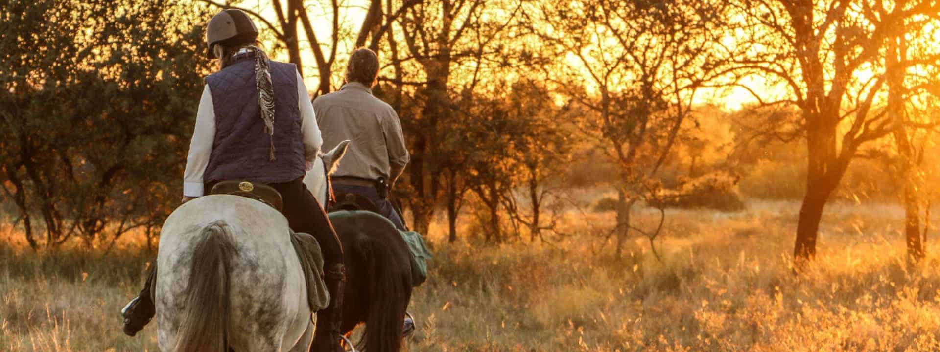 Cawston Horseback Safari