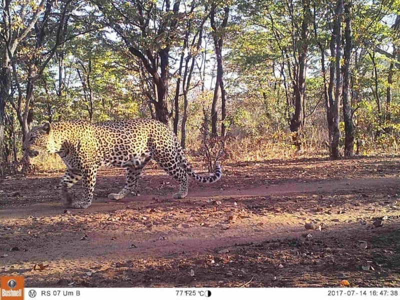 Diary of A Cawston Encounters Volunteer 2