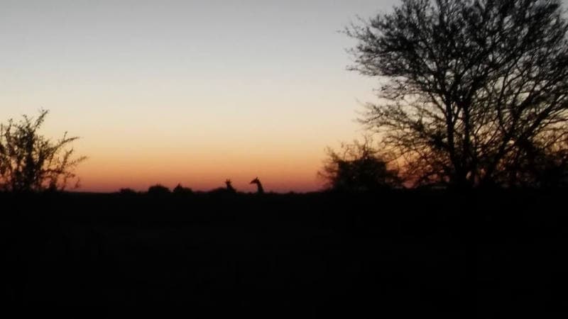 My Projects in Zimbabwe