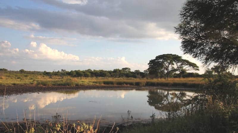 Photographers Paradise Cawston