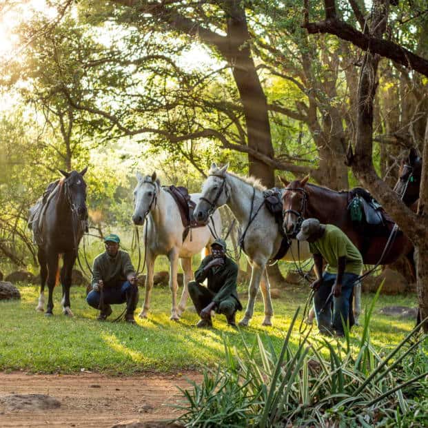 Cawston Horses and Grooms
