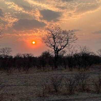 Cawston Photographic Safari