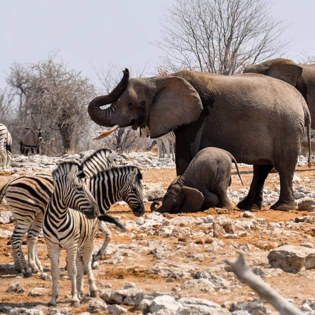 Hwange National Park