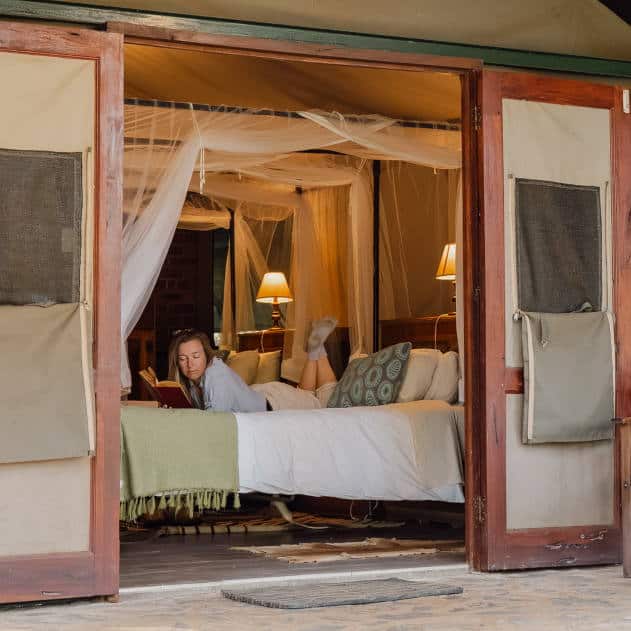 Mosquito Nets